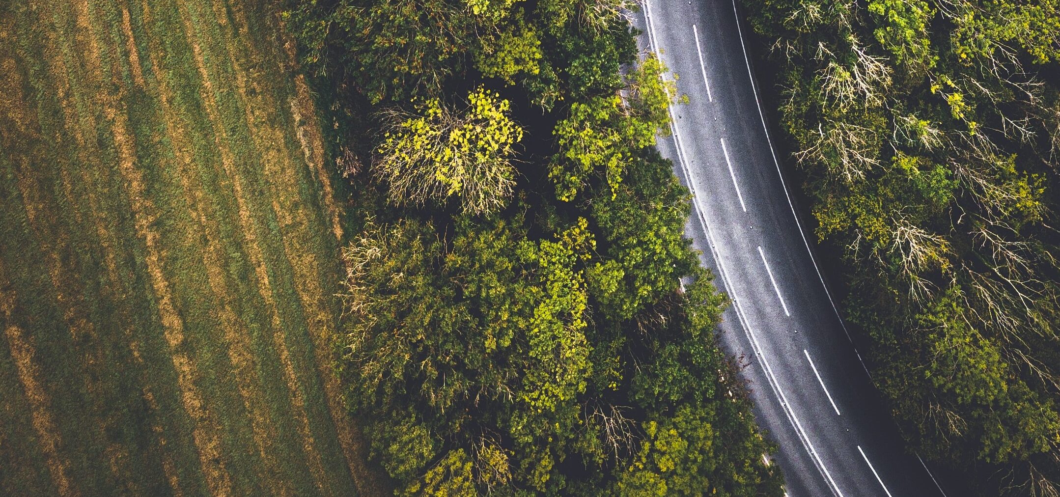 logística verde para empresas